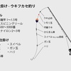 道糸が切られる！　(磯釣り)