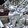 新熊野神社の雪、白く染まる大樟。