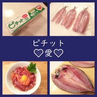 美味しい魚 ハチビキ 料理は刺身 炙り 湯引きの3種 よちよちエクスプレス 美味しい魚 ハチビキ 料理は刺身 炙り 湯引きの3種 よちよちエクスプレス