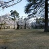 ２０１５年の桜　ー悠久山の花見　～２