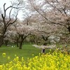 先週のお題になっちゃったけれど…祝日なのに…