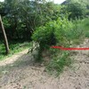 やっと。確認申請、下りる（着工です）
