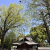 【東京】今年の桜の息は長い～田無神社・沼袋氷川神社・北野神社～