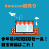 【Amazon初売り】今年最初のBIGセール！目玉商品はこれ！ #008