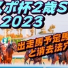 【東京スポーツ杯2歳ステークス2023】出走馬予定馬データ分析と消去法予想
