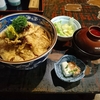 夏にピッタリとりわさ丼！