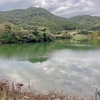 山本溜池（長崎県宇久島）