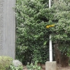 ◎霊界通信R070411「どんどん出て来る」