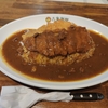 今日はカレーの日らしい…京都おすすめカレー屋さん2軒。