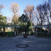 2023/12/17 文京区立大塚公園