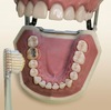 人間関係に悩んだら、まず「歯を磨こう」！