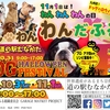 Dog Halloween Fes ＆ わん・わん・わんだふるフェスタ2020