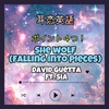 【耳恋英語】歌詞 訳 She Wolf (Falling into Pieces) ポイント4つ！/ David Guetta ft. Sia