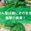 ほうれん草は鍋にそのままOK？衝撃の真実！