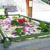 『小樽総鎮守 住吉神社』　美しい「花手水」、鮮やかな朱色の「千本鳥居」、「せたけ石」で身長測り、御朱印、海見える絶景。そして、お蕎麦。