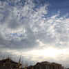 3月21日（土）曇り　春分