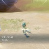 【ポケモンSV】御三家最難関・・・、色違いツタージャ厳選と注意点