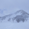 キューピットバレイで🎿（新潟・上越市）