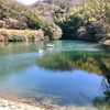 奥ノ平池（兵庫県淡路）