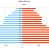 米国の人口ピラミッド　１９８５年～１９９５年