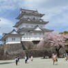 桜と城と一人旅