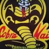 コブラ会 Cobra Kai