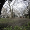 むくのき公園（西東京市）