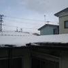 雪の降らぬ間に