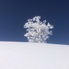 雪の王国・夏油