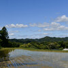 【安房鴨川】はじめて大山千枚田に行って来た。May 2018