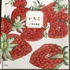 いちご　　＊荒井真紀