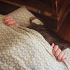睡眠導入剤よりも効くクスリ
