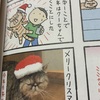 「コロコロ毛玉日記2」