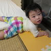 うたちゃん日記♪2016/6/5♪生後279日目ふりむいてかわいい