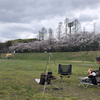 小雨が降る中、いつもの河原でお花見焚き火をしてきました