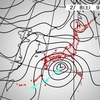 今夜は