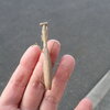 がんばってます