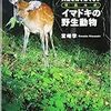 人間なんで怖くない　今どきの野生動物