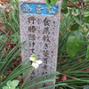万葉歌碑を訪ねて（その２０６４～２０６６）―高知県大豊町粟生　土佐豊永万葉植物園（７０～７２）―万葉集　巻十六　三八二五、三八二六、三八二九