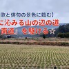 【和歌と俳句の景色を臨む】心に沁みる山の辺の道『南道』を駆ける☆