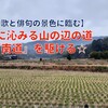 【和歌と俳句の景色を臨む】心に沁みる山の辺の道『南道』を駆ける☆