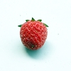 イチゴ