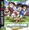 今ゲームボーイの全日本少年サッカー大会にいい感じでとんでもないことが起こっている？