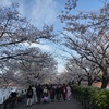 ４月最初のタナゴ釣り。