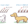 寒さの感じ方の違いについて