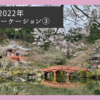 2022年　京都桜ワーケーション③