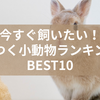 今すぐ飼いたい！なつく小動物ランキングBEST10