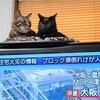 地震の報告