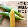 【野菜不足の人必見】美味しいトウモロコシを食べて夏を乗り切ろう！