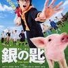 09月06日、市川知宏(2016)